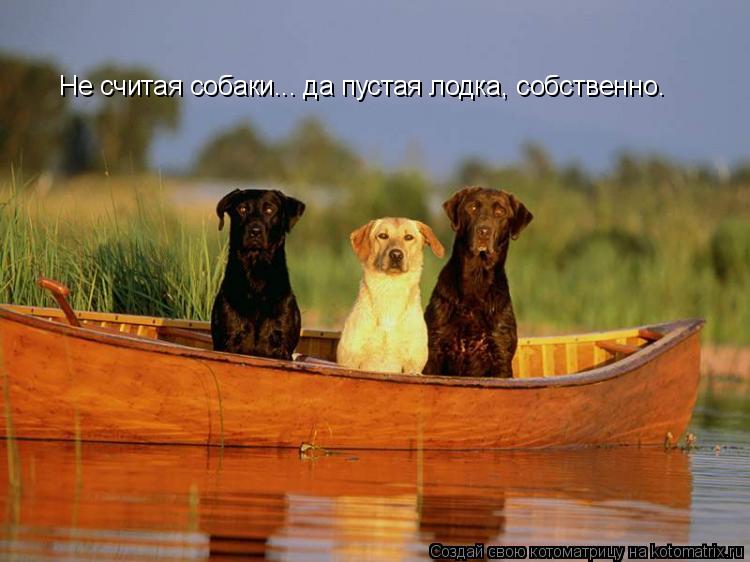 Не считая собаки... да пустая лодка, собственно.... Котоматрица: Не считая собаки... да пустая лодка, собственно.
