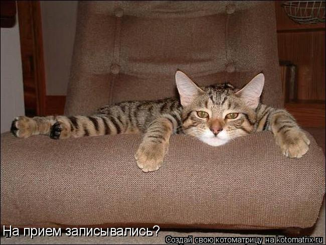 На прием записывались?... Котоматрица: На прием записывались?