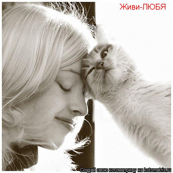Живи-ЛЮБЯ... Котоматрица: Живи-ЛЮБЯ