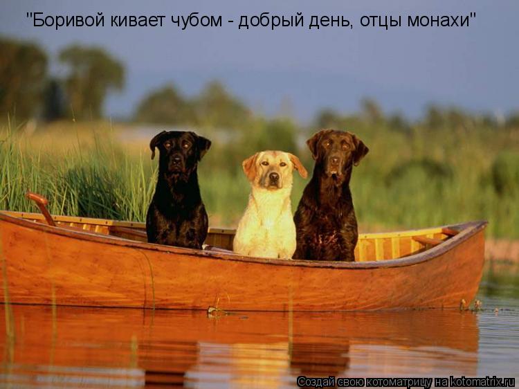 "Боривой кивает чубом - добрый день, отцы монахи"... Котоматрица: "Боривой кивает чубом - добрый день, отцы монахи"