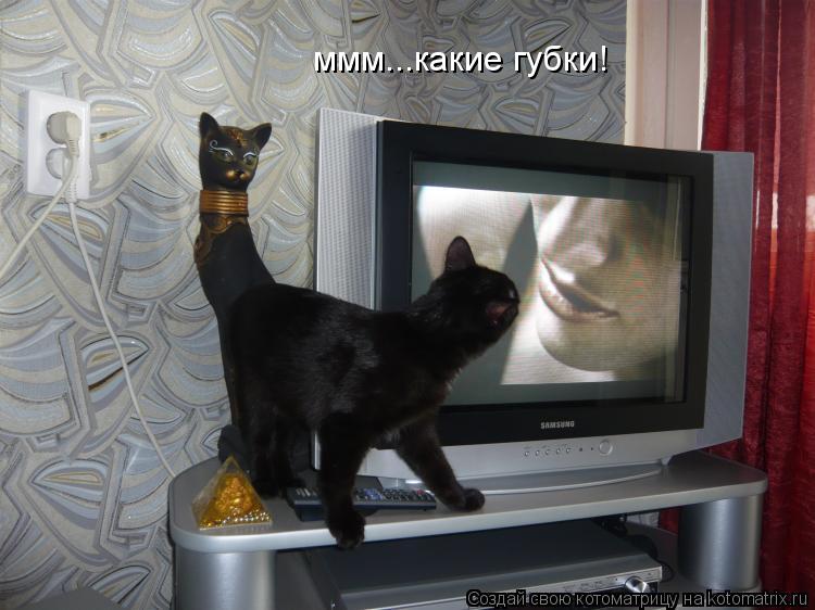 ммм...какие губки!... Котоматрица: ммм...какие губки!