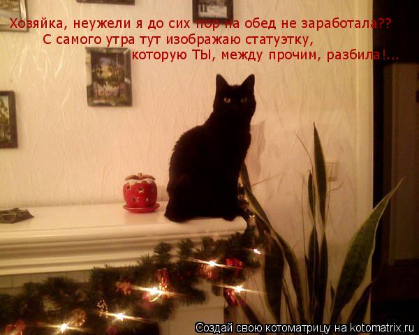 Котоматрица: Хозяйка, неужели я до сих пор на обед не заработала?? С самого утра тут изображаю статуэтку, которую ТЫ, между прочим, разбила!...