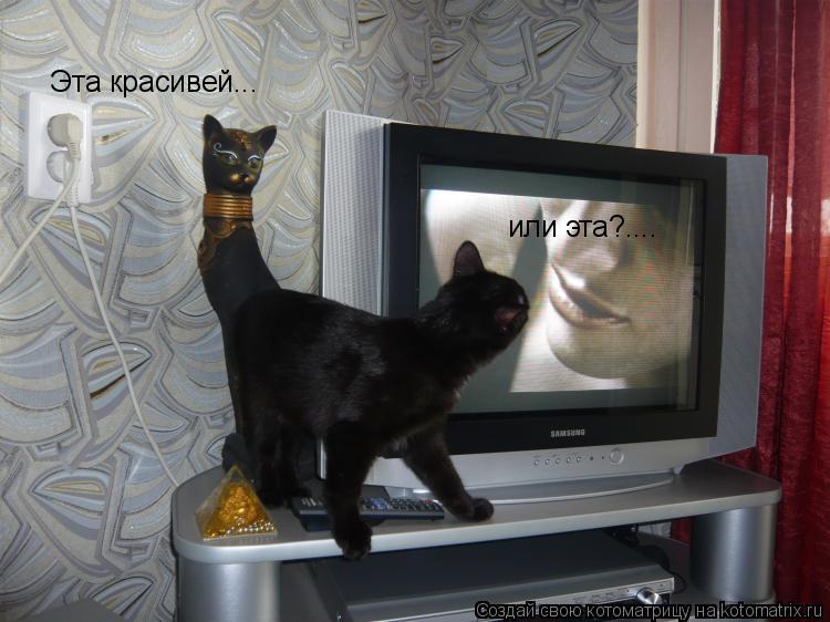 Эта красивей... или эта?....... Котоматрица: Эта красивей... или эта?....