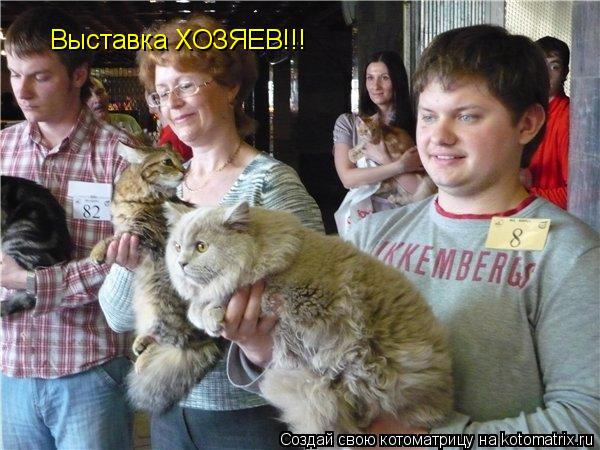 Выставка ХОЗЯЕВ!!!... Котоматрица: Выставка ХОЗЯЕВ!!!