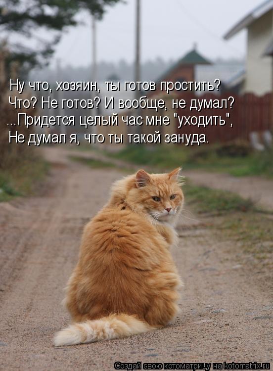 Ну что, хозяин, ты готов простить? Что? Не готов? И вообще, не думал? ...Придется целый час мне "уход... Котоматрица: Ну что, хозяин, ты готов простить? Что? Не готов? И вообще, не думал? ...Придется целый час мне "уходить", Не думал я, что ты такой зануда.