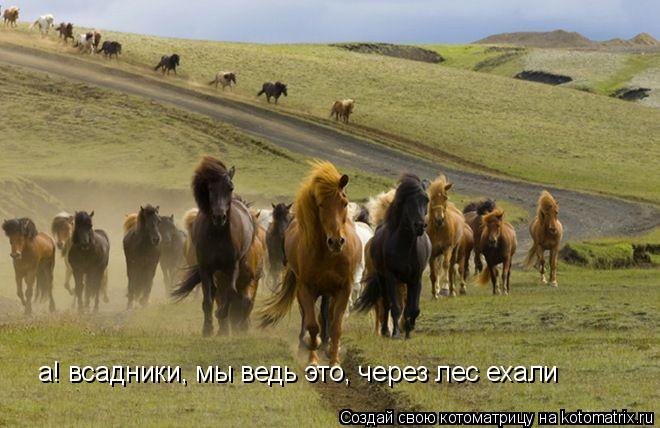 а! всадники, мы ведь это, через лес ехали... Котоматрица: а! всадники, мы ведь это, через лес ехали