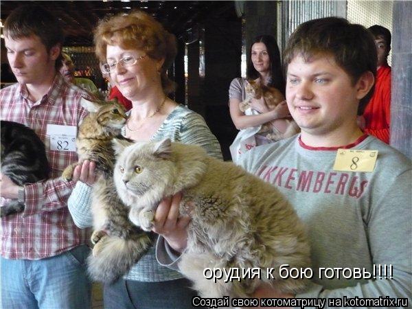 орудия к бою готовь!!!!... Котоматрица: орудия к бою готовь!!!!