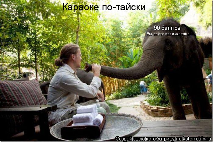 90 баллов Вы поёте великолепно! Караоке по-тайски... Котоматрица: 90 баллов Вы поёте великолепно! Караоке по-тайски