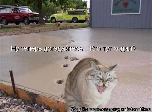Ну теперь догадайтесь... Кто тут ходил?... Котоматрица: Ну теперь догадайтесь... Кто тут ходил?