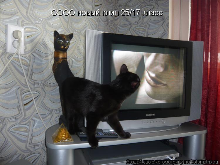 ОООО новый клип 25/17 класс... Котоматрица: ОООО новый клип 25/17 класс