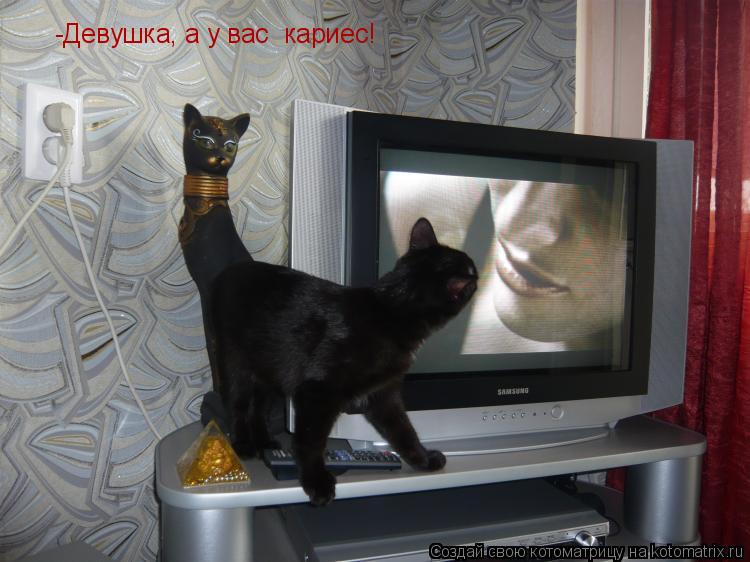 -Девушка, а у вас кариес!... Котоматрица: -Девушка, а у вас кариес!