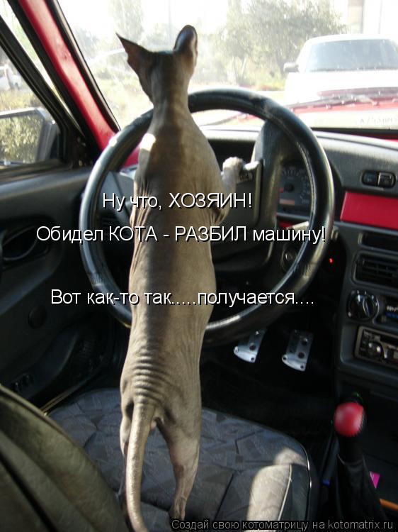 Ну что, ХОЗЯИН! Обидел КОТА - РАЗБИЛ машину! Вот как-то так.....получается....... Котоматрица: Ну что, ХОЗЯИН! Обидел КОТА - РАЗБИЛ машину! Вот как-то так.....получается....