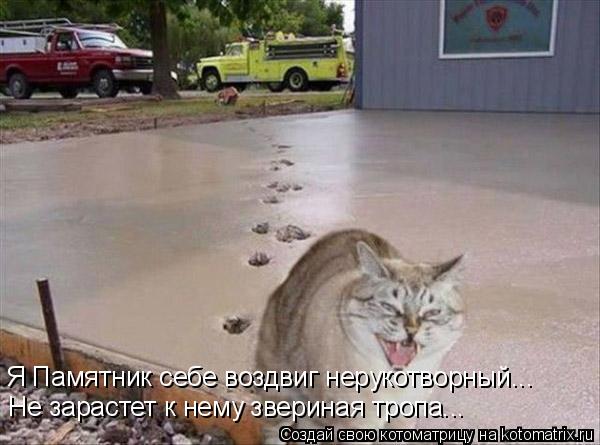 Я Памятник себе воздвиг нерукотворный... Не зарастет к нему звериная тропа...... Котоматрица: Я Памятник себе воздвиг нерукотворный... Не зарастет к нему звериная тропа...