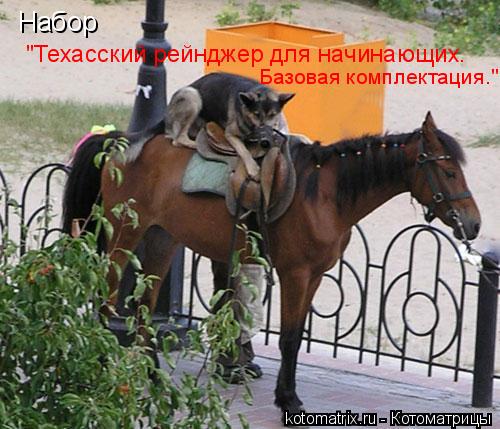 Набор "Техасский рейнджер для начинающих. Базовая комплектация."... Котоматрица: Набор "Техасский рейнджер для начинающих. Базовая комплектация."