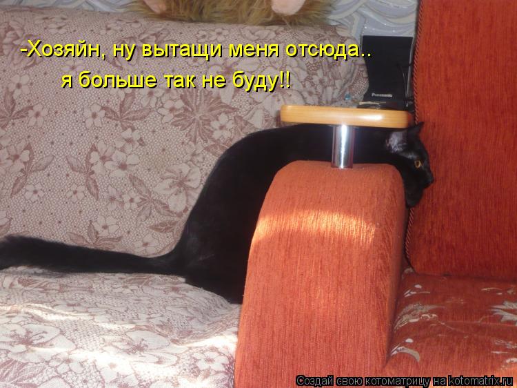 -Хозяйн, ну вытащи меня отсюда.. я больше так не буду!!... Котоматрица: -Хозяйн, ну вытащи меня отсюда.. я больше так не буду!!