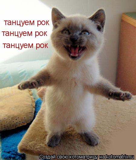 танцуем рок танцуем рок танцуем рок... Котоматрица: танцуем рок танцуем рок танцуем рок