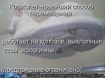 Кошколет-новейший способ перемещения работает на колбасе, выхлопные газы экологичны (предложение огра... Котоматрица: Кошколет-новейший способ перемещения работает на колбасе, выхлопные газы экологичны (предложение ограничено)