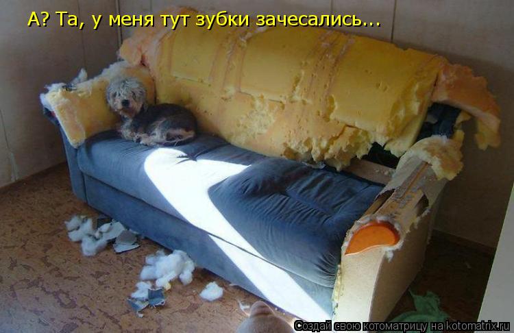 А? Та, у меня тут зубки зачесались...... Котоматрица: А? Та, у меня тут зубки зачесались...
