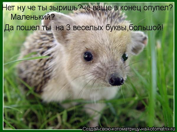 Нет ну че ты зыришь?че ваще в конец опупел? Маленький? Да пошел ты на 3 веселых буквы,большой!... Котоматрица: Нет ну че ты зыришь?че ваще в конец опупел? Маленький? Да пошел ты на 3 веселых буквы,большой!
