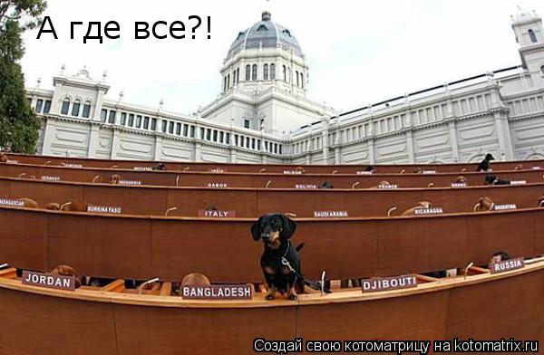 А где все?!... Котоматрица: А где все?!