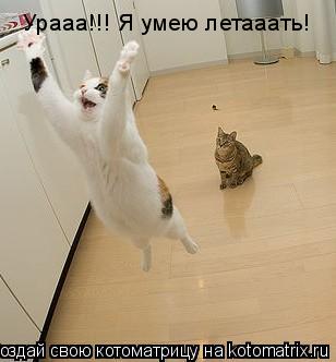 Урааа!!! Я умею летааать!... Котоматрица: Урааа!!! Я умею летааать!