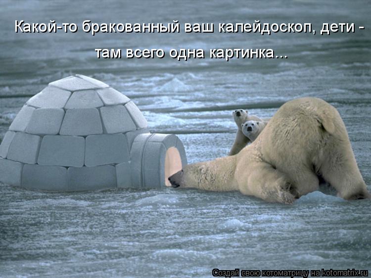 Какой-то бракованный ваш калейдоскоп, дети - там всего одна картинка...... Котоматрица: Какой-то бракованный ваш калейдоскоп, дети - там всего одна картинка...