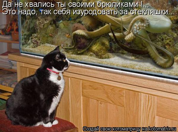 Да не хвались ты своими брюликами !... Это надо, так себя изуродовать за стекляшки...... Котоматрица: Да не хвались ты своими брюликами !... Это надо, так себя изуродовать за стекляшки...