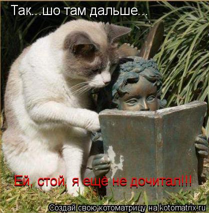 Так...шо там дальше... Ей, стой, я ещё не дочитал!!! Ей, стой, я ещё не дочитал!!!... Котоматрица: Так...шо там дальше... Ей, стой, я ещё не дочитал!!! Ей, стой, я ещё не дочитал!!!