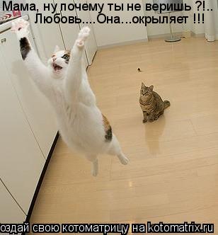 Мама, ну почему ты не веришь ?!.. Любовь....Она...окрыляет !!!... Котоматрица: Мама, ну почему ты не веришь ?!.. Любовь....Она...окрыляет !!!