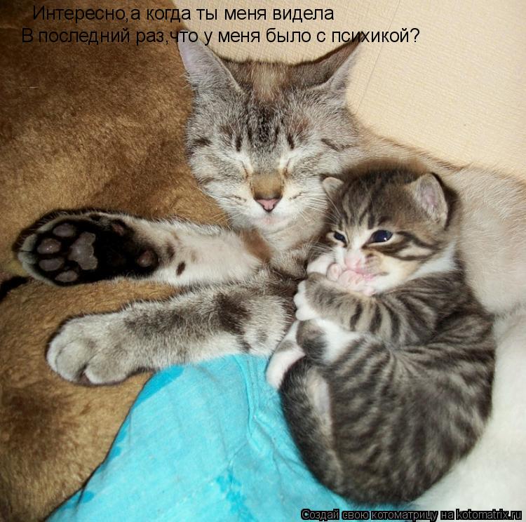 Интересно,а когда ты меня видела В последний раз,что у меня было с психикой?... Котоматрица: Интересно,а когда ты меня видела В последний раз,что у меня было с психикой?