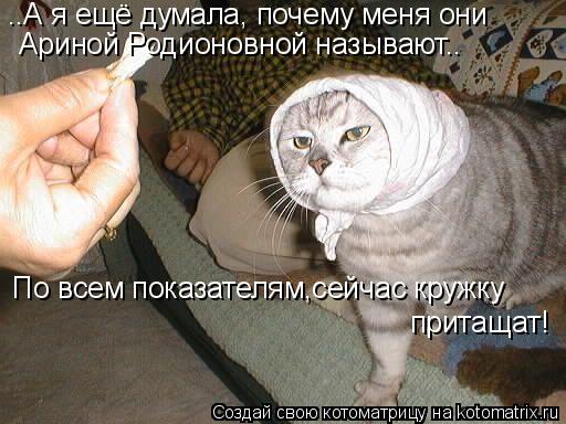 ..А я ещё думала, почему меня они Ариной Родионовной называют.. По всем показателям,сейчас кружку при... Котоматрица: ..А я ещё думала, почему меня они Ариной Родионовной называют.. По всем показателям,сейчас кружку притащат!