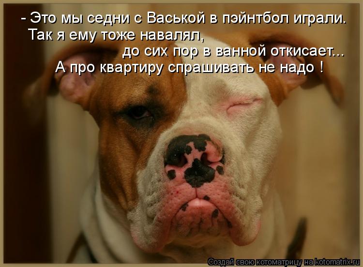 - Это мы седни с Васькой в пэйнтбол играли. Так я ему тоже навалял, до сих пор в ванной откисает... А... Котоматрица: - Это мы седни с Васькой в пэйнтбол играли. Так я ему тоже навалял, до сих пор в ванной откисает... А про квартиру спрашивать не надо !