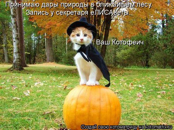 Принимаю дары природы в ближайшем лесу. Запись у секретаря еЛИСАветы. Ваш Котофеич... Котоматрица: Принимаю дары природы в ближайшем лесу. Запись у секретаря еЛИСАветы. Ваш Котофеич