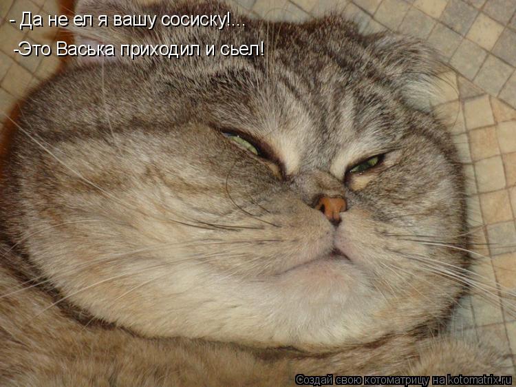 - Да не ел я вашу сосиску!... -Это Васька приходил и сьел!... Котоматрица: - Да не ел я вашу сосиску!... -Это Васька приходил и сьел!