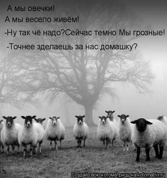 А мы овечки! А мы весело живём! -Ну так чё надо?Сейчас темно Мы грозные! -Точнее зделаешь за нас дома... Котоматрица: А мы овечки! А мы весело живём! -Ну так чё надо?Сейчас темно Мы грозные! -Точнее зделаешь за нас домашку?