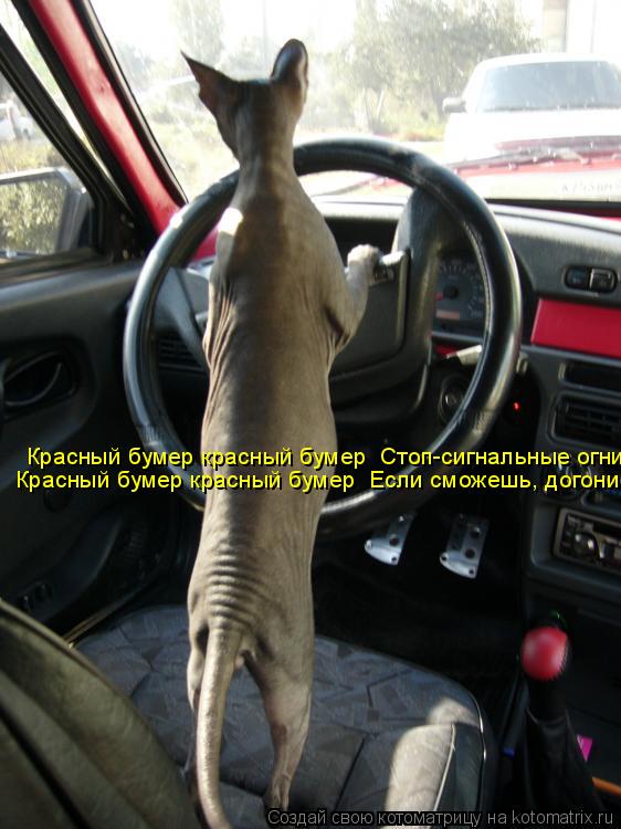 Красный бумер красный бумер Стоп-сигнальные огни Красный бумер красный бумер Если сможешь, догони... Котоматрица: Красный бумер красный бумер Стоп-сигнальные огни Красный бумер красный бумер Если сможешь, догони