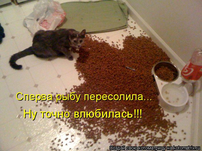 Сперва рыбу пересолила... Ну точно влюбилась!!!... Котоматрица: Сперва рыбу пересолила... Ну точно влюбилась!!!