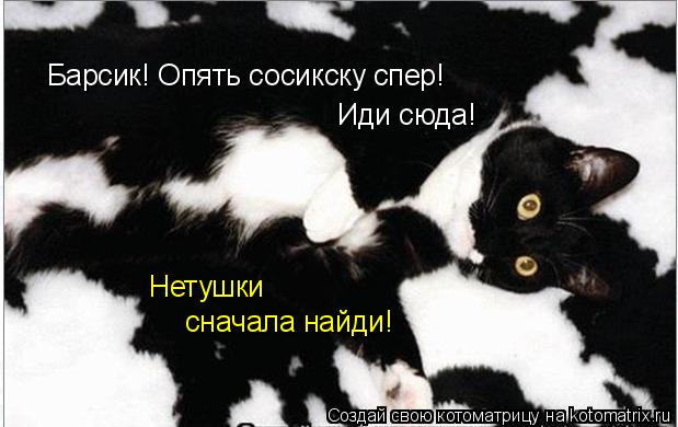 Барсик! Опять сосикску спер! Иди сюда! Нетушки сначала найди!... Котоматрица: Барсик! Опять сосикску спер! Иди сюда! Нетушки сначала найди!
