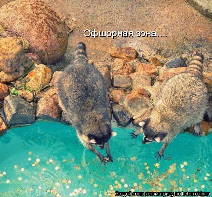 Офшорная зона....... Котоматрица: Офшорная зона....