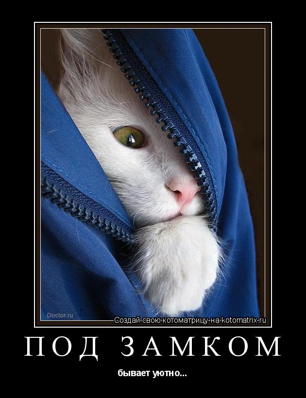 ПОД ЗАМКОМ бывает уютно...... Котоматрица: ПОД ЗАМКОМ бывает уютно...