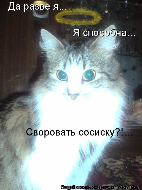 Да разве я... Я способна... Своровать сосиску?! ...... Котоматрица: Да разве я... Я способна... Своровать сосиску?! ...