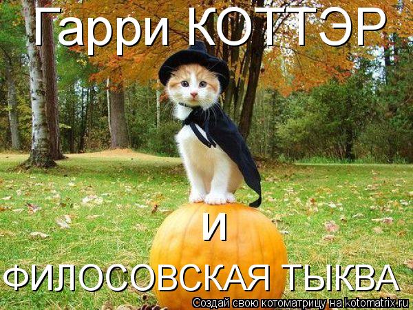 Гарри КОТТЭР и ФИЛОСОВСКАЯ ТЫКВА... Котоматрица: Гарри КОТТЭР и ФИЛОСОВСКАЯ ТЫКВА
