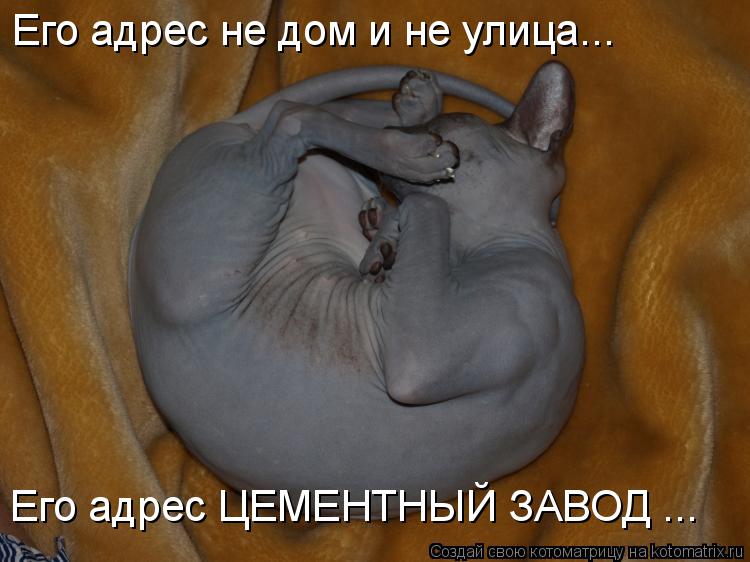 Его адрес не дом и не улица... Его адрес ЦЕМЕНТНЫЙ ЗАВОД ...... Котоматрица: Его адрес не дом и не улица... Его адрес ЦЕМЕНТНЫЙ ЗАВОД ...