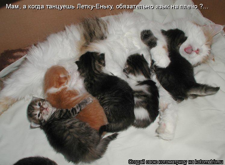 Мам, а когда танцуешь Летку-Еньку, обязательно язык на плечо ?...... Котоматрица: Мам, а когда танцуешь Летку-Еньку, обязательно язык на плечо ?...