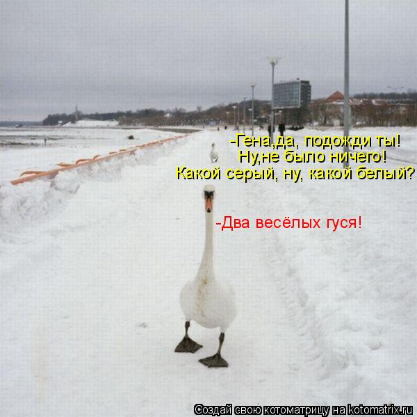 -Гена,да, подожди ты! Ну,не было ничего! Какой серый, ну, какой белый? -Два весёлых гуся!... Котоматрица: -Гена,да, подожди ты! Ну,не было ничего! Какой серый, ну, какой белый? -Два весёлых гуся!