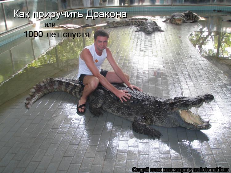 Как приручить Дракона 1000 лет спустя или... Котоматрица: Как приручить Дракона 1000 лет спустя или