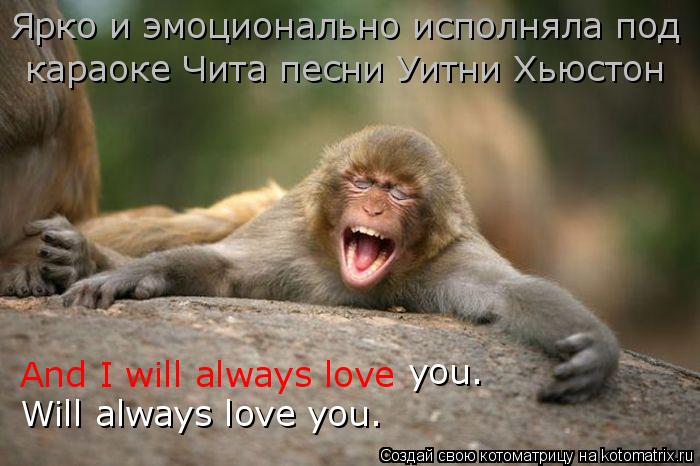 And I will always love you. Will always love you. Ярко и эмоционально исполняла под караоке Чита песн... Котоматрица: And I will always love you. Will always love you. Ярко и эмоционально исполняла под караоке Чита песни Уитни Хьюстон