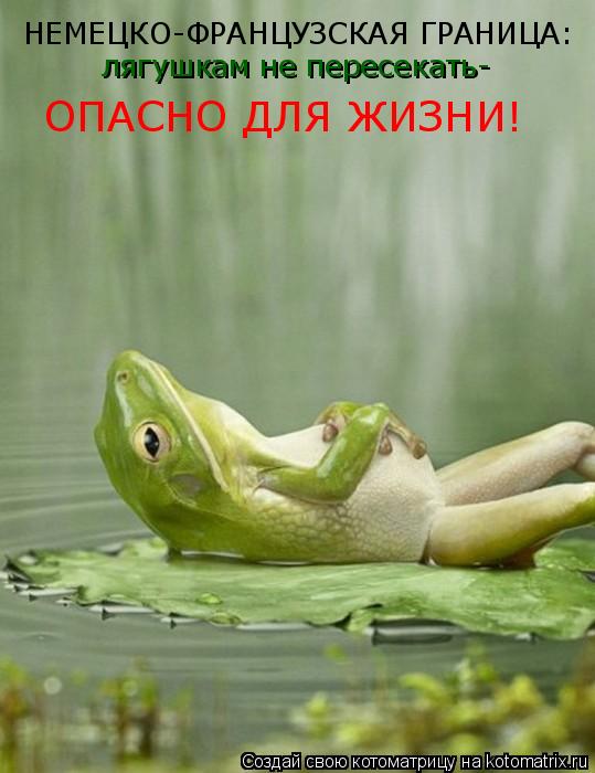 НЕМЕЦКО-ФРАНЦУЗСКАЯ ГРАНИЦА: лягушкам не пересекать- ОПАСНО ДЛЯ ЖИЗНИ!... Котоматрица: НЕМЕЦКО-ФРАНЦУЗСКАЯ ГРАНИЦА: лягушкам не пересекать- ОПАСНО ДЛЯ ЖИЗНИ!