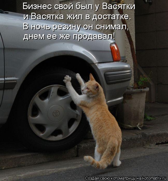Бизнес свой был у Васятки и Васятка жил в достатке. В ночь резину он снимал, днем ее же продавал!... Котоматрица: Бизнес свой был у Васятки и Васятка жил в достатке. В ночь резину он снимал, днем ее же продавал!
