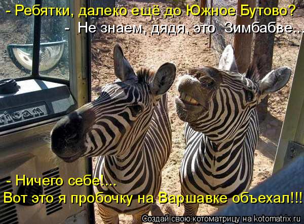 Котоматрица: - Ребятки, далеко ещё до Южное Бутово? -  Не знаем, дядя, это  Зимбабве... - Ничего себе!...  Вот это я пробочку на Варшавке объехал!!!